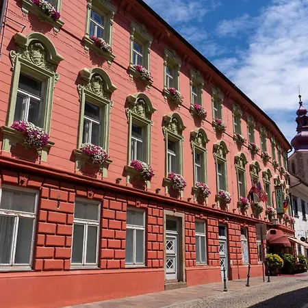 Hotel Ptuj 3* Πτούι