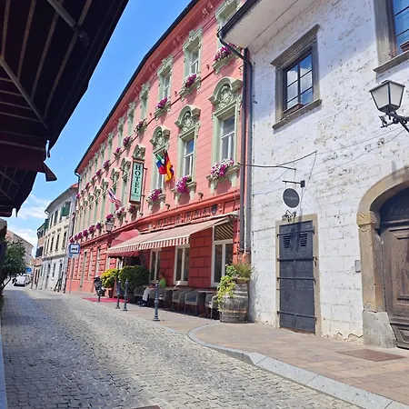 מלון Hotel Ptuj 3*