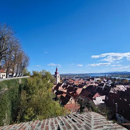 Hotel Ptuj 3*