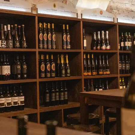 Hotel Ptuj Ξενοδοχείο 3*