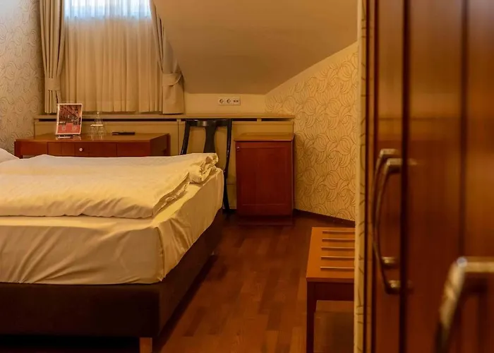 Hotel Ptuj 3* Ptuj